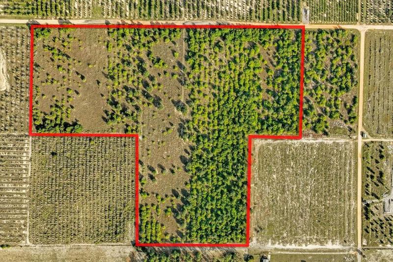 0 J L Massey Rd Lake, Lake Wales, FL 33898 for Sale