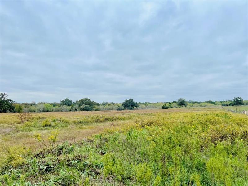 8740 Taylorsville Road, Red Rock, TX 78662 for Sale
