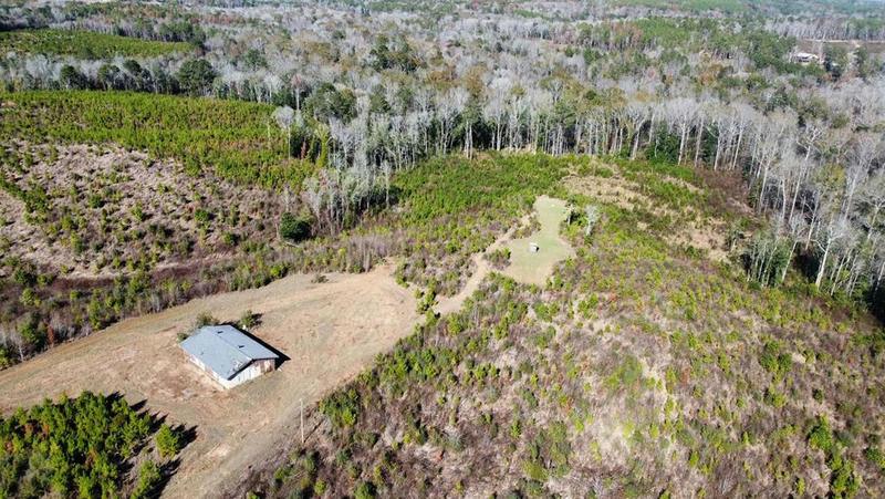 1 LEE BOGGAN RD, Mendenhall, MS 39144 Land For Sale  MLS# 140478