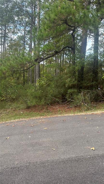 23 & 19 Sunny Hill Dr, Coldspring, TX 77331 for Sale