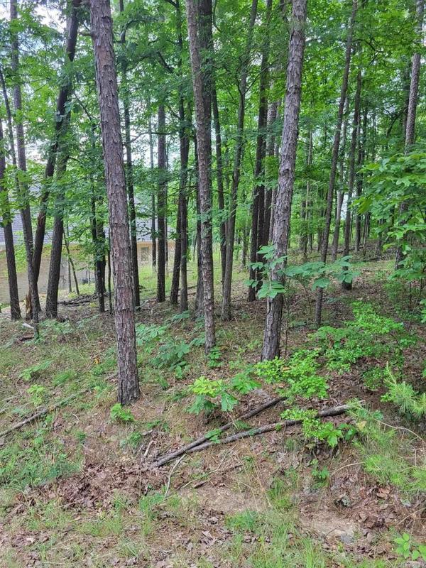 Hot Springs, Garland County, AR Undeveloped Land, Homesites for sale Property ID: 418617637