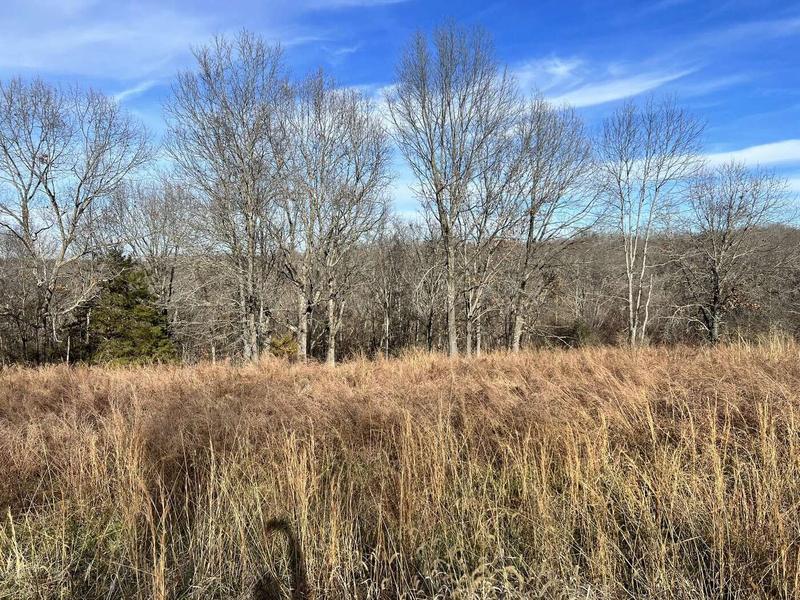 000 Lot 10 Middlegate Place, Branson West, MO 65737  615078638 for Sale