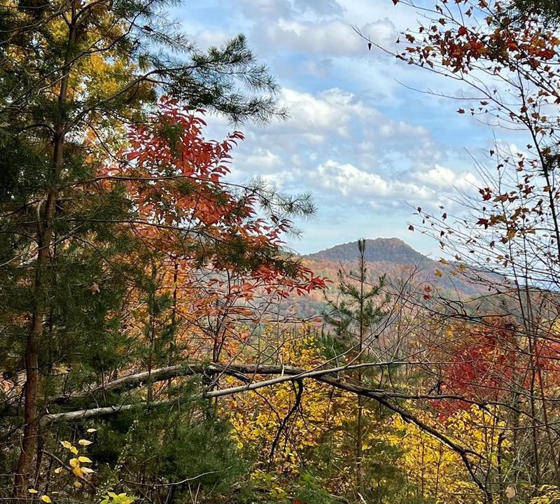 Walland, Blount County, TN Undeveloped Land, Homesites for sale Property ID: 418592293