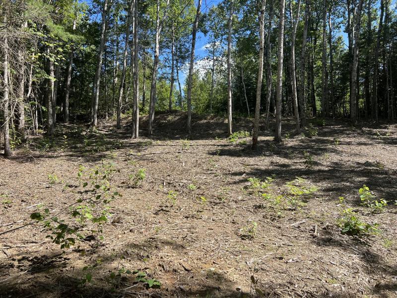 Ellsworth, Hanbird County, ME Undeveloped Land, Homesites for sale Property ID: 418643205