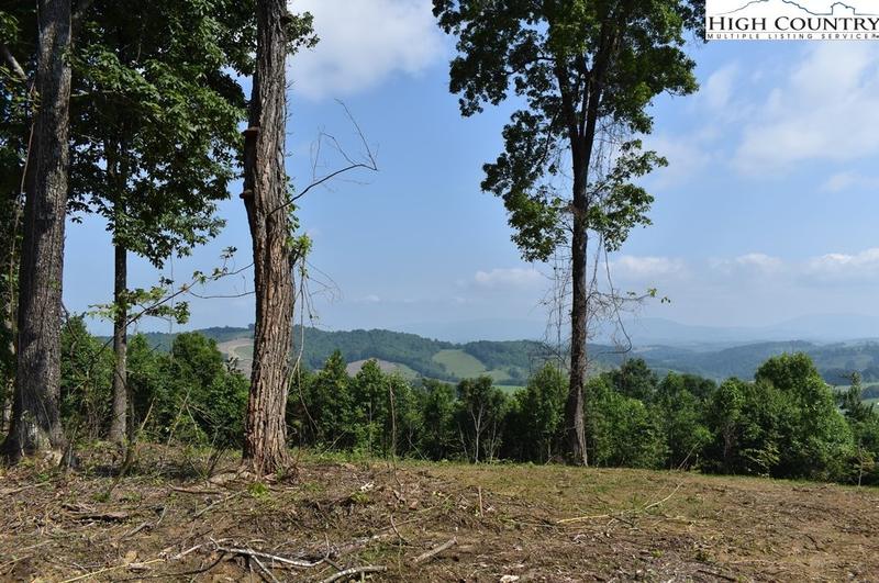Tbd Little Fawn Ln, Sparta, NC 28675 - MLS 244538 for Sale