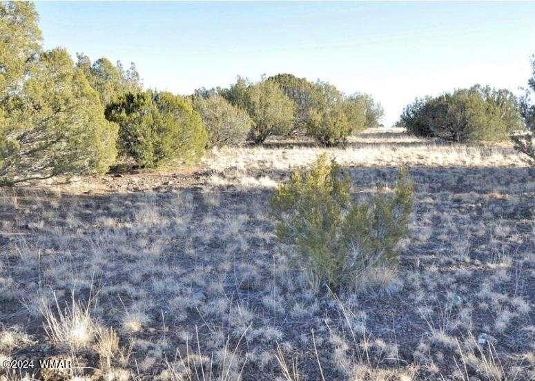 3 County Road 8368, Concho, AZ 85924  623938284 for Sale