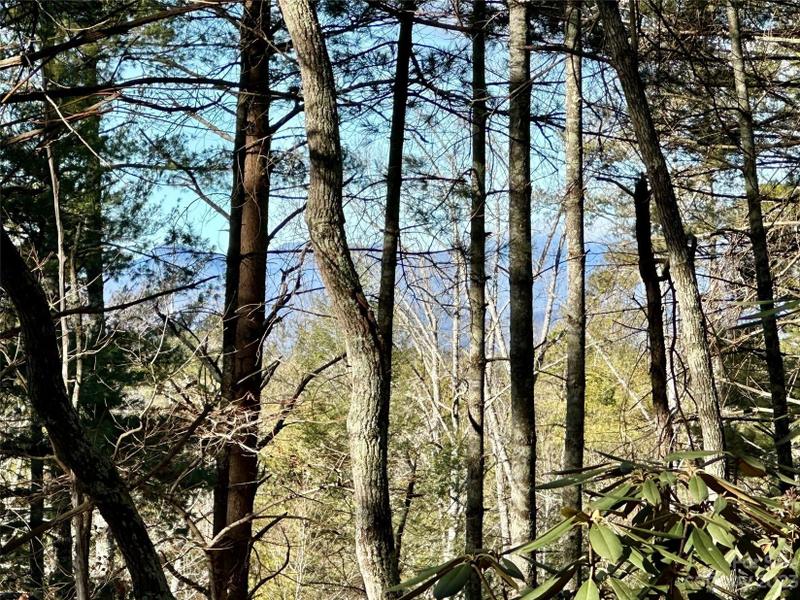 Nebo, Burke County, NC Undeveloped Land, Homesites for sale Property ID: 418781290