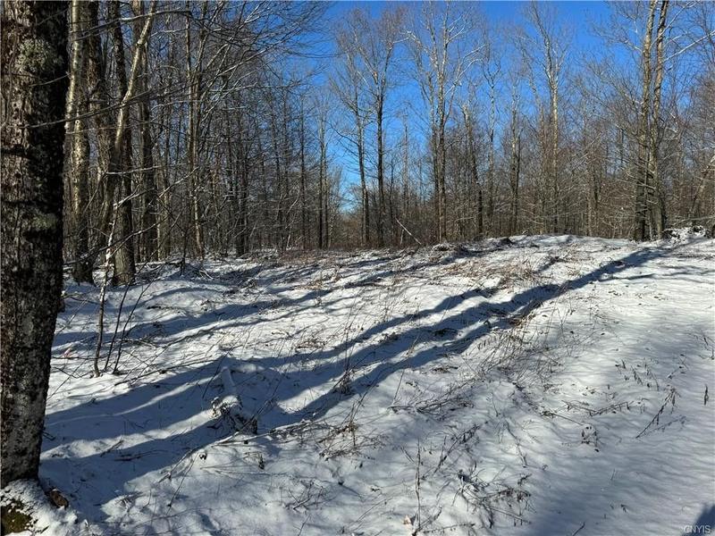 Lewis, Lewis County, NY Undeveloped Land for sale Property ID: 418642858