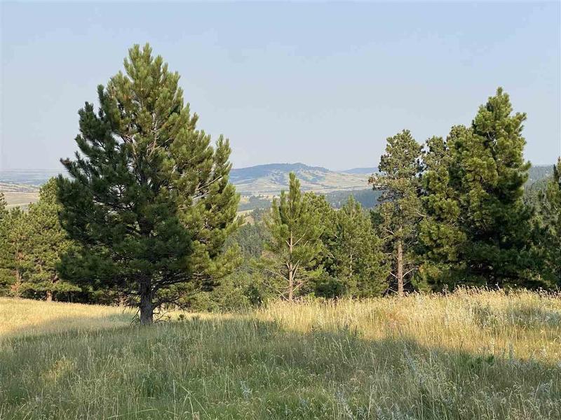 Whitewood, Lawrence County, SD Homesites for sale Property ID: 418576902
