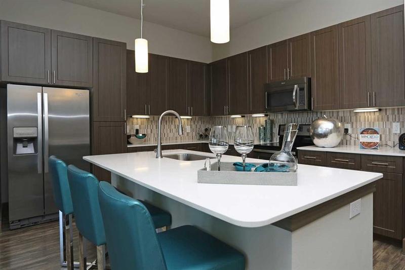 5454 Washington Ave #1302, Houston, TX 77007 for Rent
