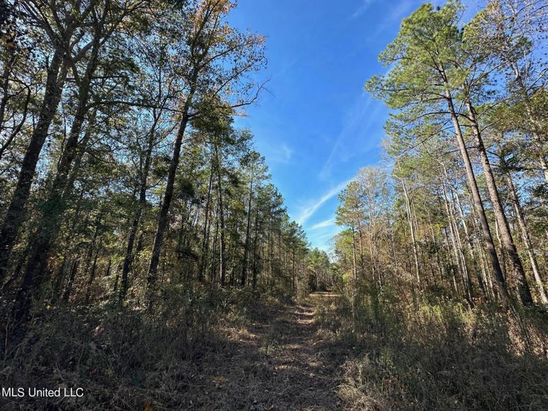 ANTIOCH SHILOH RD, Pelahatchie, MS 39145 Land For Sale  MLS# 4065089