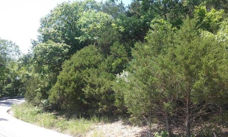 000 Cahill, Branson, MO 65616  MLS# 60203790 for Sale