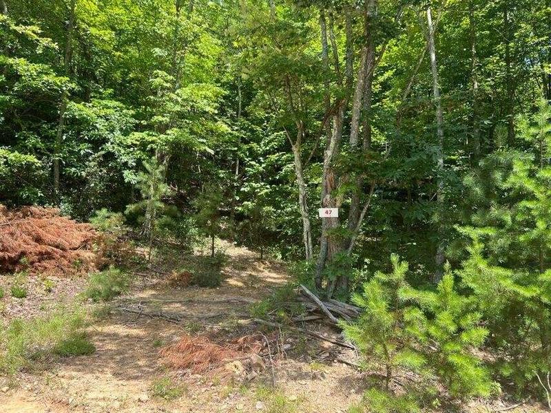 Lot 47 Waiteville Rd, Waiteville, WV 24984  614461567 for Sale