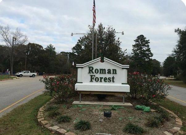 TBD Green Leaf, New Caney, TX 77357 for Sale