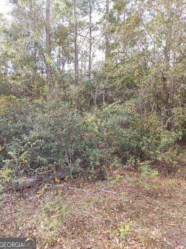 Lot # 26 George Bell Ct, Folkston, GA 31537 - MLS 20164819 for Sale
