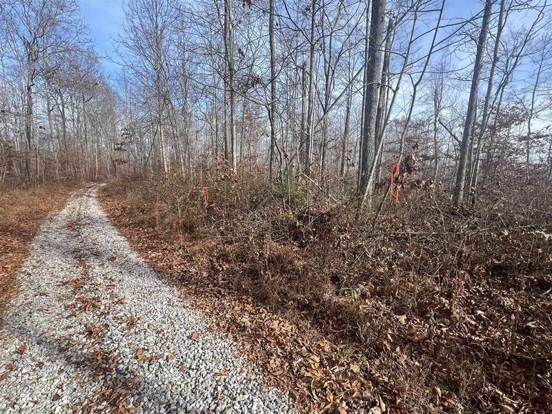 52 White Hill Church Road, Breeding, KY 42717  618514846 for Sale