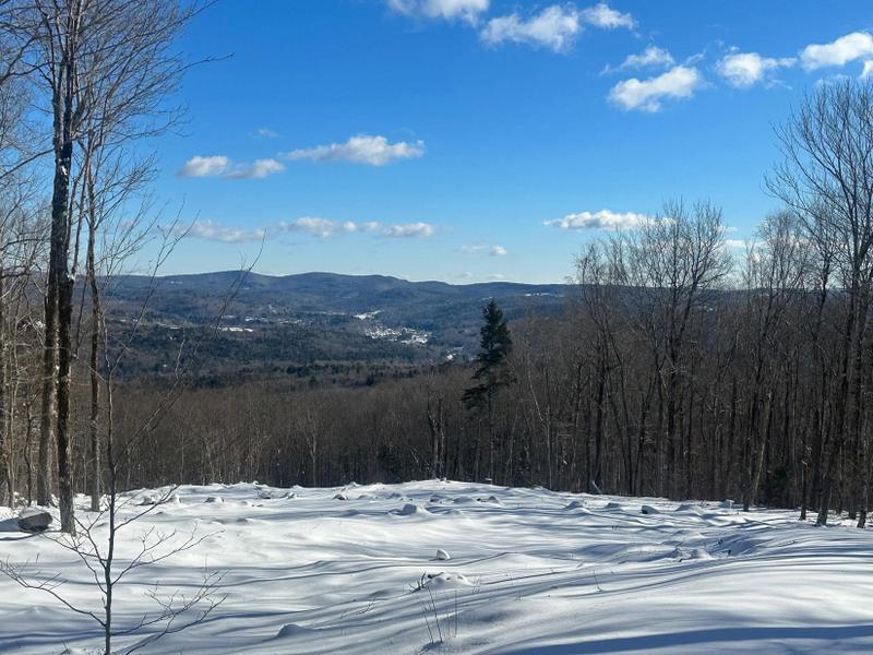 Wilmington, Windham County, VT Undeveloped Land for sale Property ID: 418613459