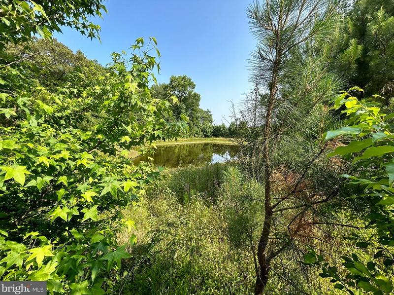 Forsythia Dr, Georgetown, DE 19947 - MLS DESU2050714 for Sale