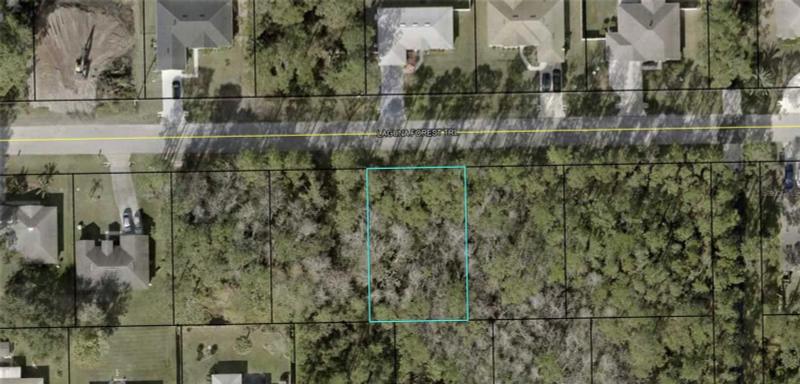 Palm Coast, Flagler County, FL Undeveloped Land, Homesites for sale Property ID: 418616613