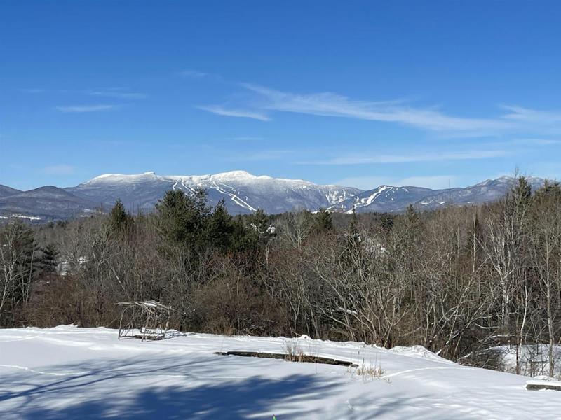 382 LANG FARM RD, Stowe, VT 05672 Single Family Residence For Sale  MLS# 4979212 for Rent