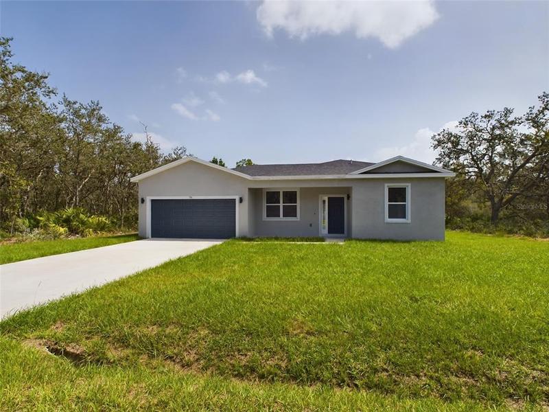 18 Malauka Pass Drive, Ocklawaha, FL 32179 for Sale