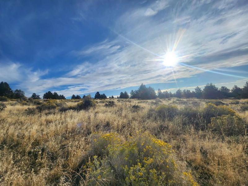 0 Drazil Road, Malin, OR 97632  608385954 for Sale