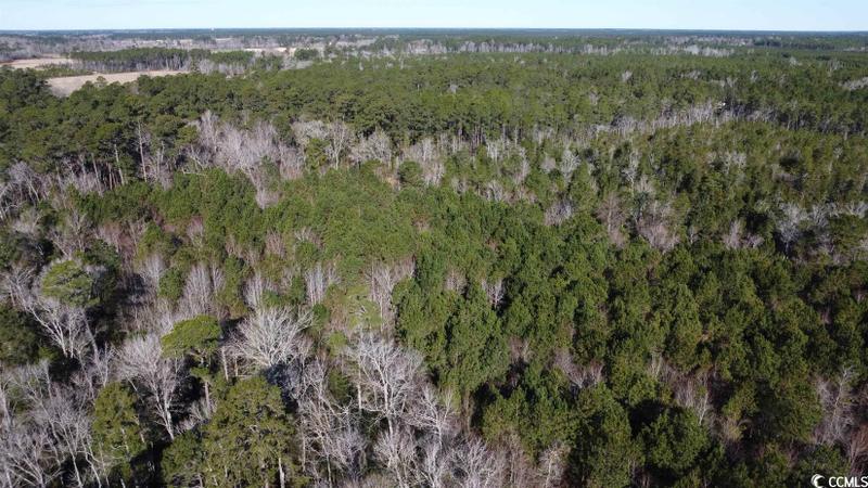 Ash, Brunswick County, NC Undeveloped Land for sale Property ID: 418582972