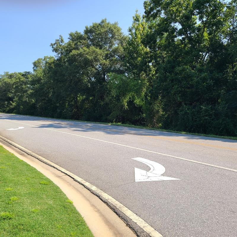 2 X Airport Road, Perry, GA 31069 for Sale