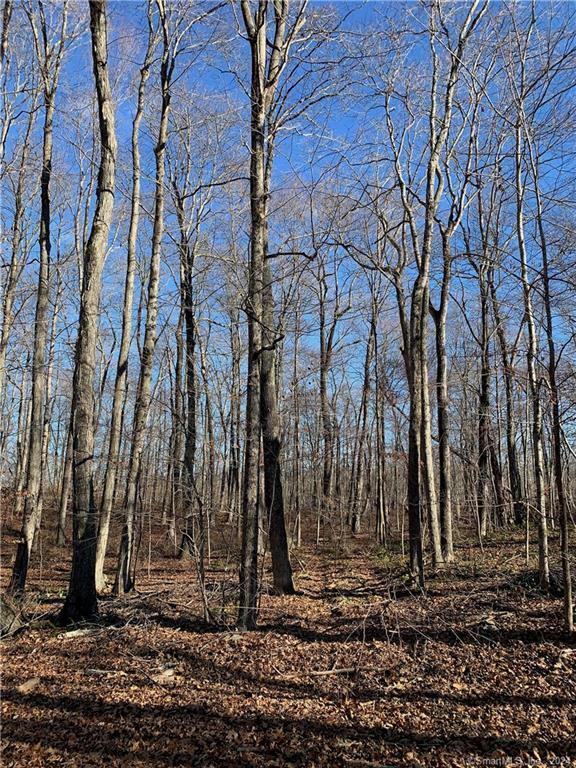 4 KILLINGWORTH TPKE, Clinton, CT 06413 Land For Sale  MLS# 170617612