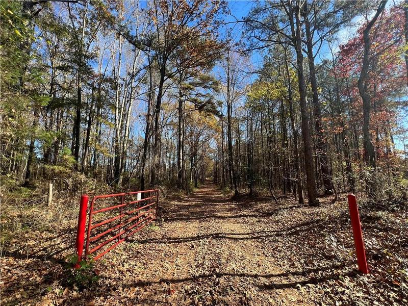 0 ISSAC HEAD ROAD, Jackson, GA 30233 Land For Sale  MLS# 7308479