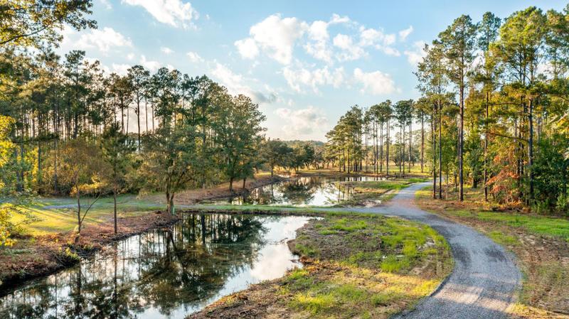 Hollywood, Charleston County, SC Undeveloped Land, Lakefront Property, Waterfront Property for sale Property ID: 418627445