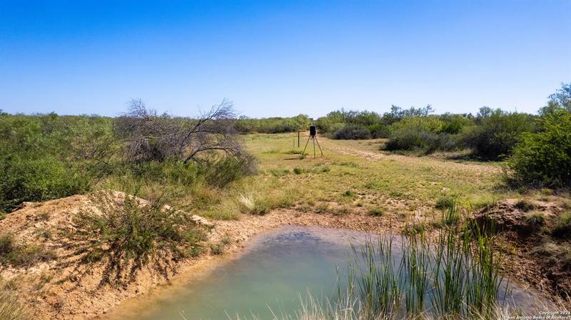 1150 CR 4715, Dilley, TX 78017 for Sale