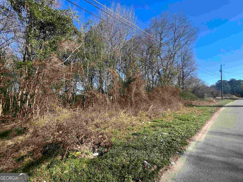 0 Mill Street, Elberton, GA 30635 for Sale