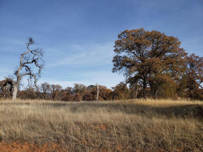 14000 CADENA WAY, Coulterville, CA 95311 Manufactured Home For Sale  MLS# 223116986 for Rent