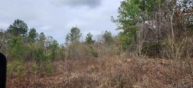 00 County Road 3212, Jefferson, TX 75657 - MLS 38743227 for Sale