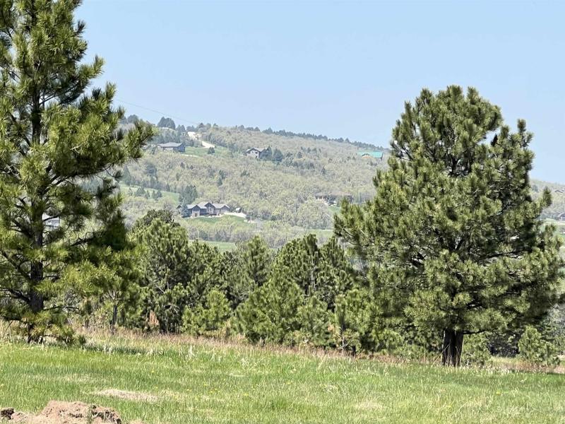 Whitewood, Lawrence County, SD Homesites for sale Property ID: 418576562