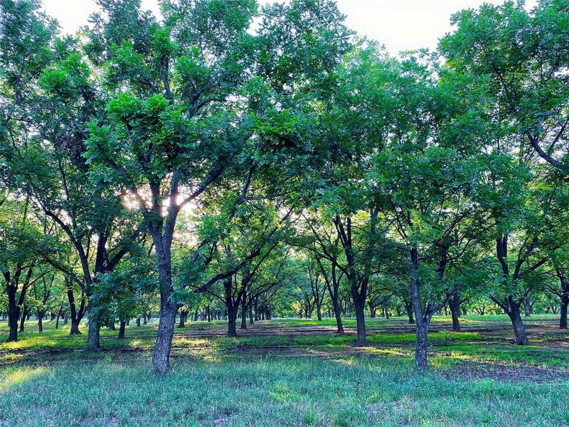 TBD2 FM 2318, Comanche, TX 76442 for Sale