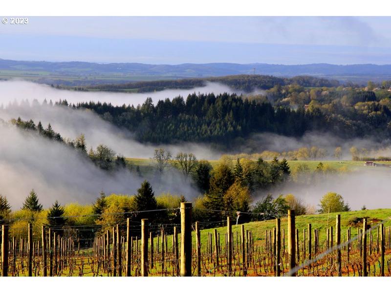 18460 Southwest Gopher Valley Road, Sheridan, OR 97378 for Sale