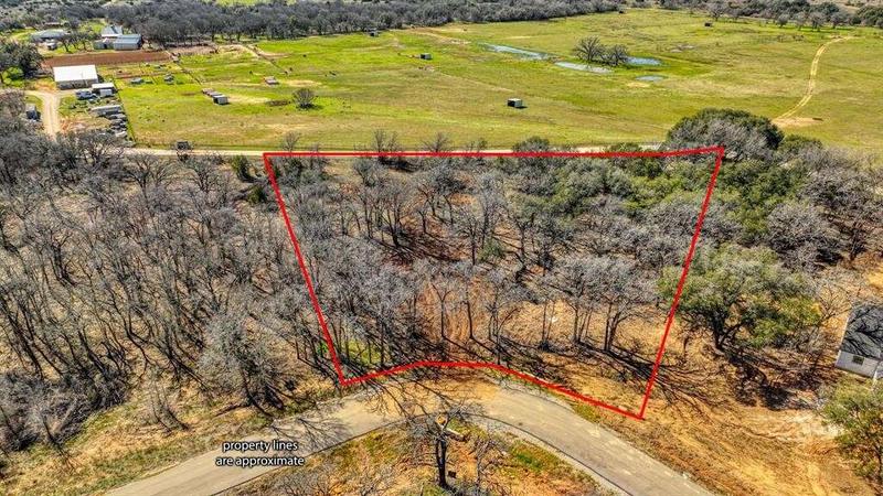 170 Hansma Way, Weatherford, TX 76087  624961240 for Sale