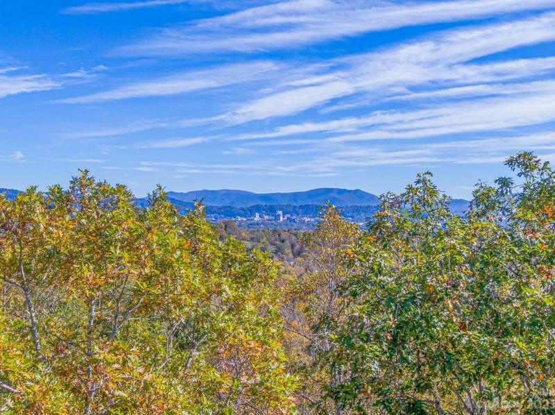 17 Denali Dr, Asheville, NC 28806 - MLS 4091477 for Sale