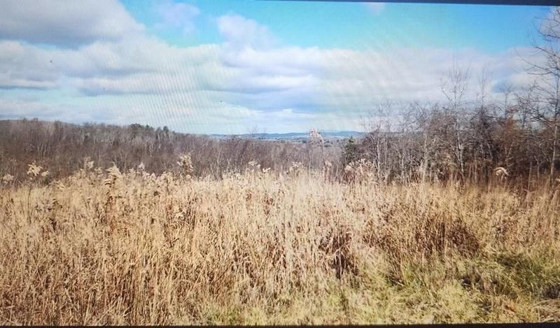 Floyd, Floyd County, VA Undeveloped Land for sale Property ID: 418743304