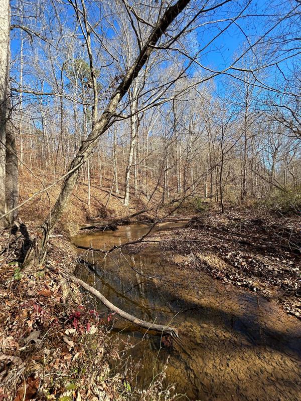 Fayetteville, Coosa County, AL Recreational Property, Timberland Property, Hunting Property for sale Property ID: 418565061