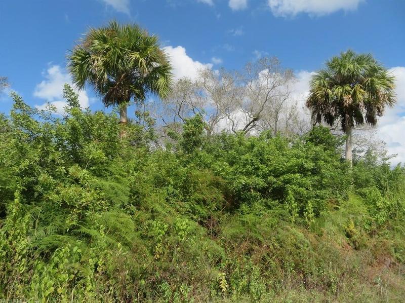 0000 42nd Ave SE, Naples, FL 34117 - MLS 223073691 for Sale