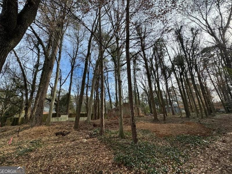 2673 Amelia Ave, Decatur, GA 30032 - MLS 10251995 for Sale