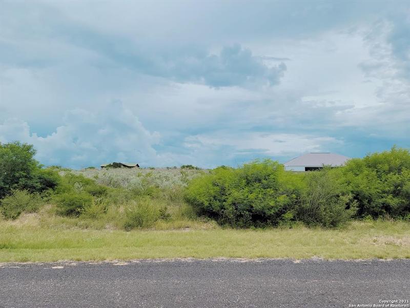 183 Lakeview Trace, Three Rivers, TX 78071 for Sale