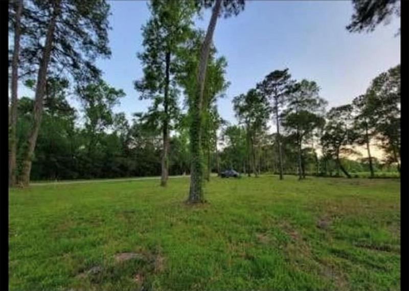 10171 Ehlers Rd, Conroe, TX 77302 for Sale