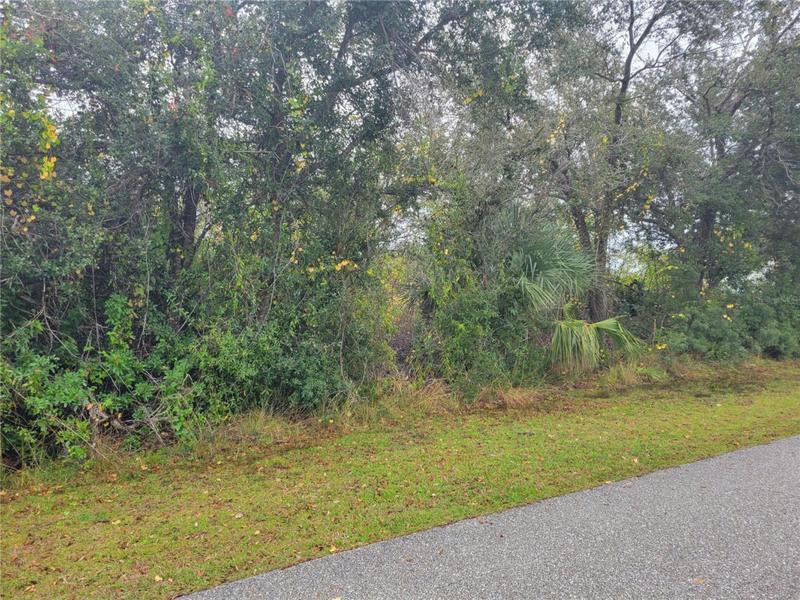 6368 BROOKRIDGE ST, ENGLEWOOD, FL 34224 Land For Sale  MLS# N6130668