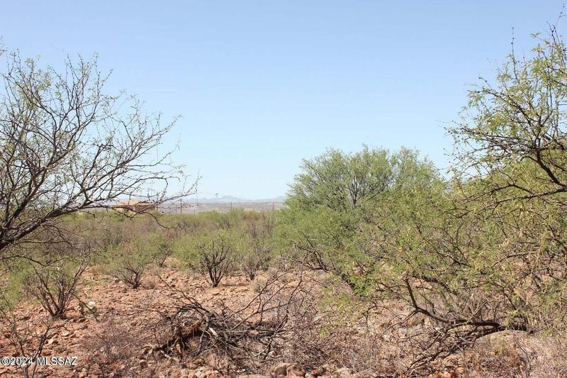 Rio Rico, Santa Cruz County, AZ Homesites for sale Property ID: 418873466