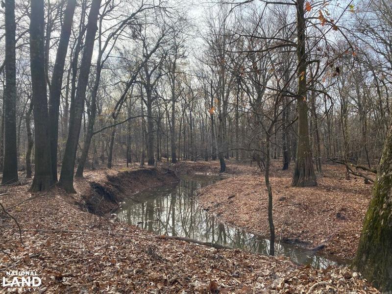 Aberdeen, Monroe County, AR Recreational Property, Timberland Property, Hunting Property for sale Property ID: 418586998