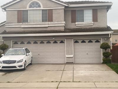 Pisa Cir for Sale